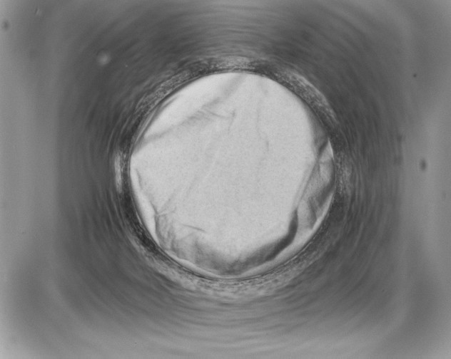 X0000085740026200704131656
