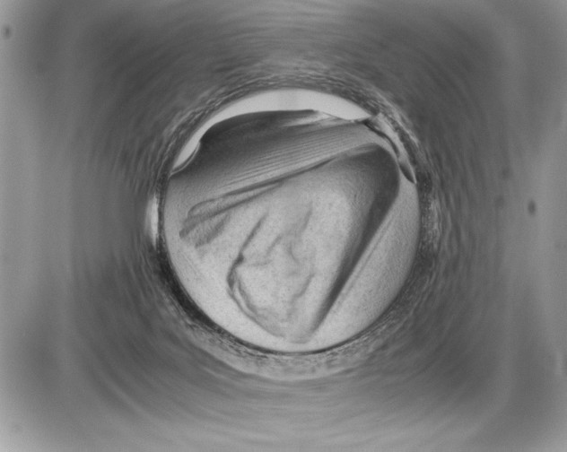 X0000085740027200704131656