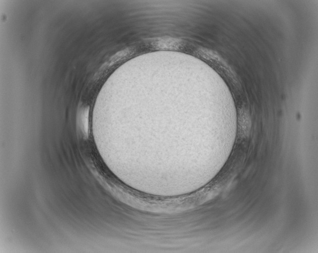 X0000085740028200704131656