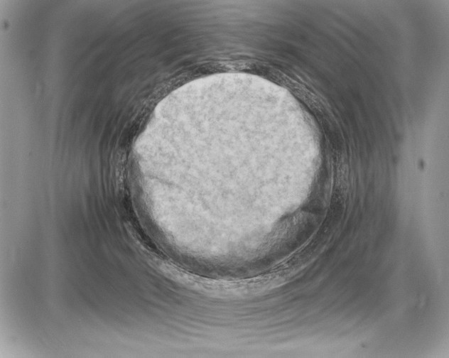 X0000085740030200704131656