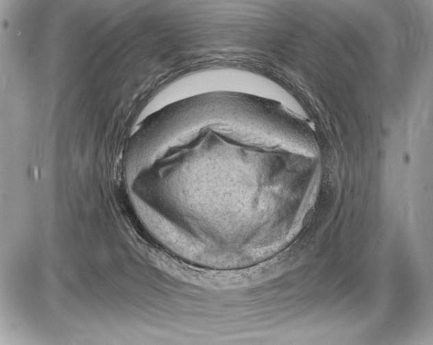 X0000085740031200704131656