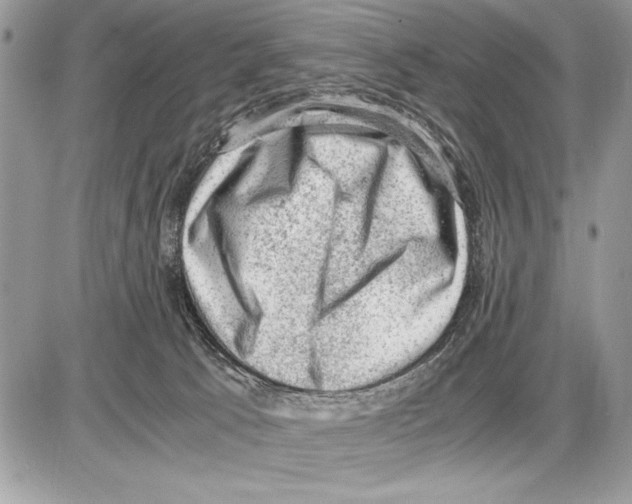 X0000085740033200704131656