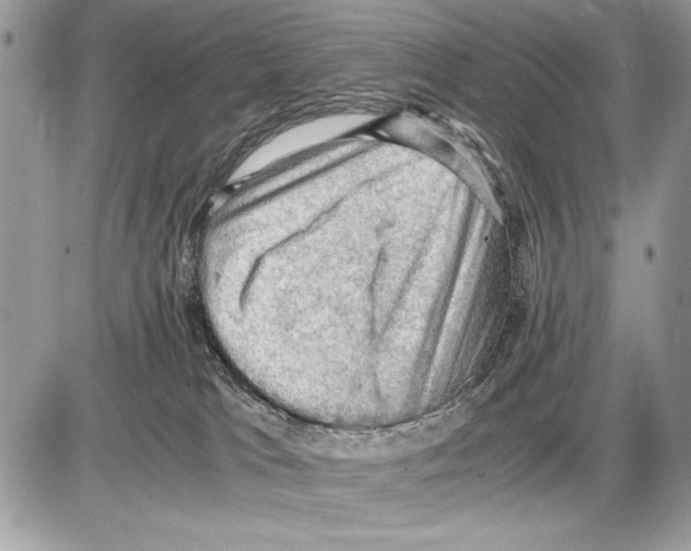 X0000085740037200704131656