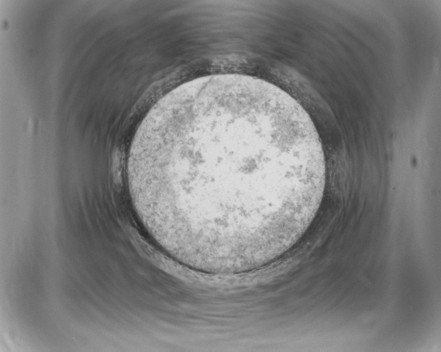 X0000085740038200704131656