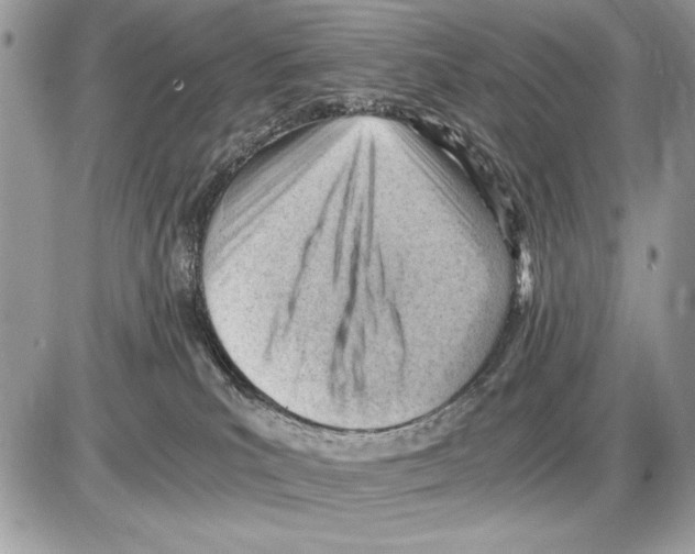 X0000085740039200704131656