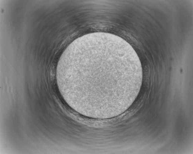 X0000085740040200704131656