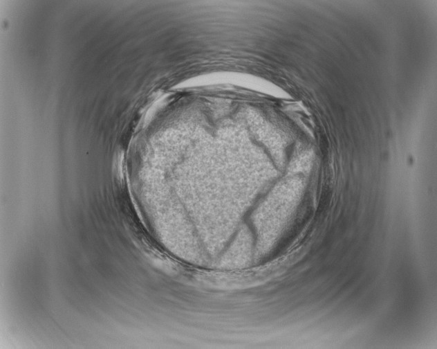 X0000085740041200704131656