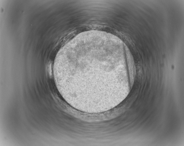 X0000085740042200704131656