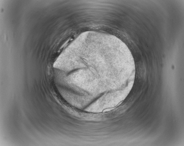 X0000085740044200704131656