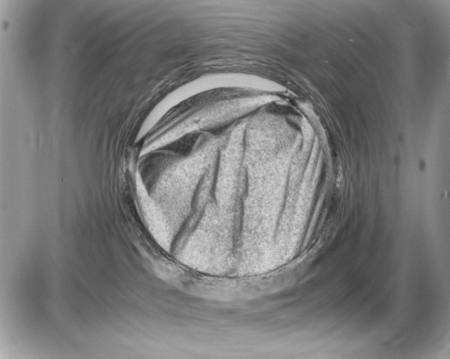X0000085740045200704131656