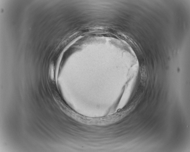 X0000085740046200704131656
