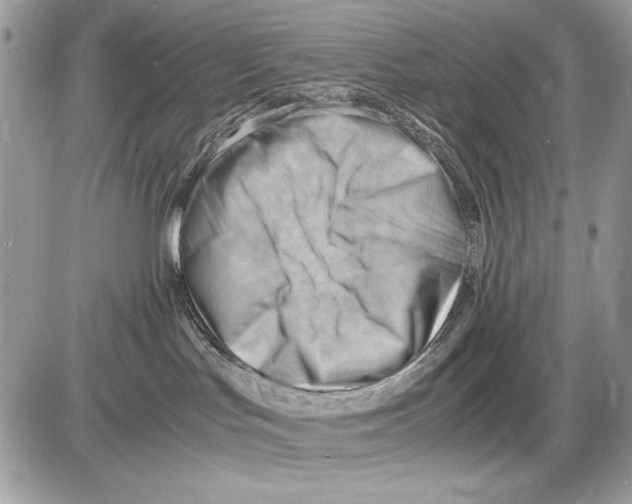 X0000085740047200704131656