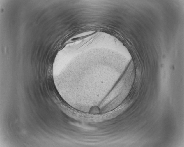 X0000085740048200704131656