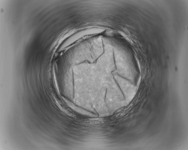 X0000085740050200704131655