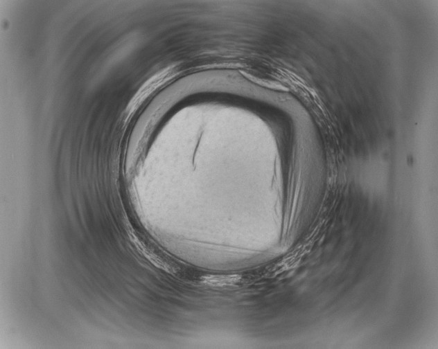 X0000085740051200704131655