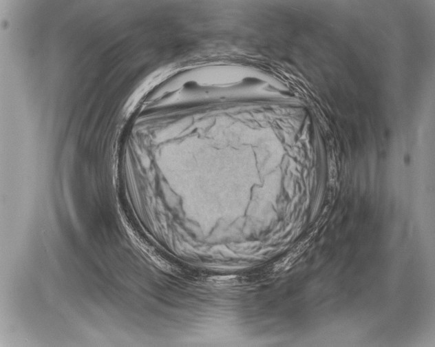 X0000085740054200704131655