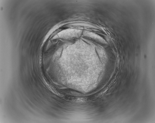 X0000085740056200704131655