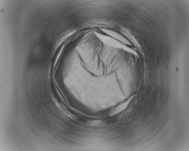 X0000085740058200704131655