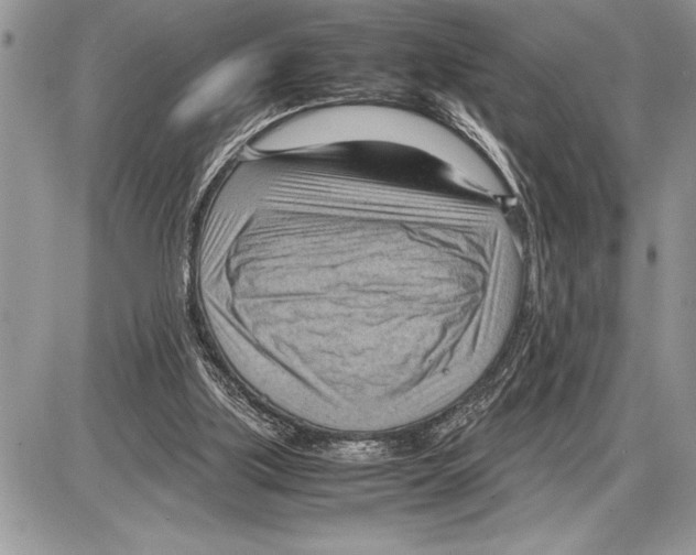 X0000085740059200704131655