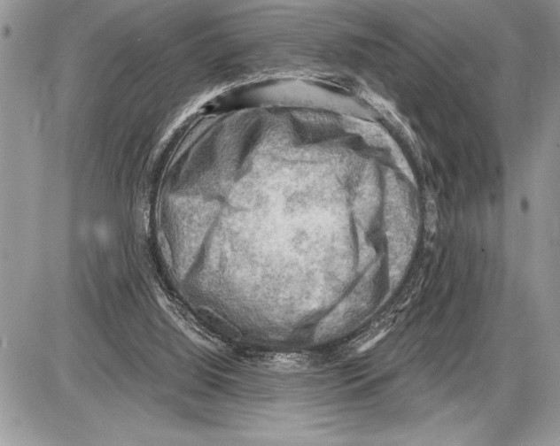 X0000085740060200704131655