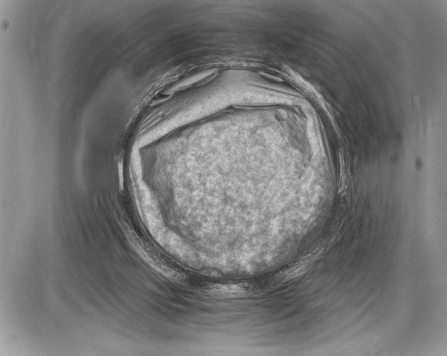 X0000085740061200704131655