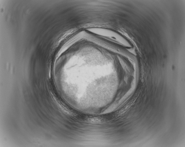 X0000085740062200704131655