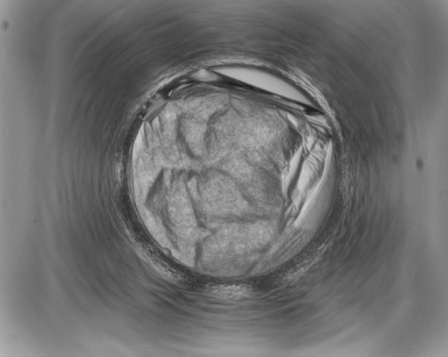 X0000085740063200704131655