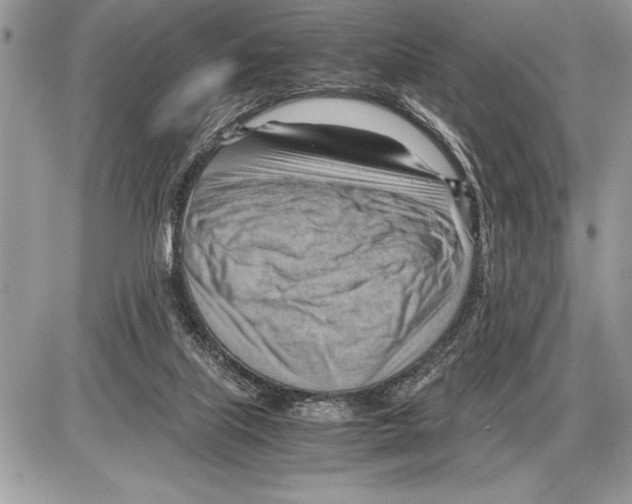 X0000085740067200704131655