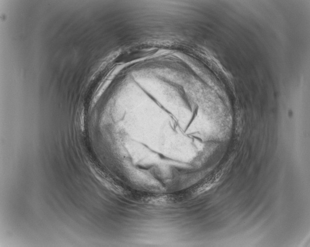 X0000085740068200704131655