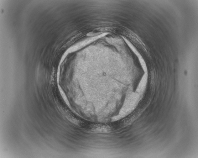 X0000085740073200704131655