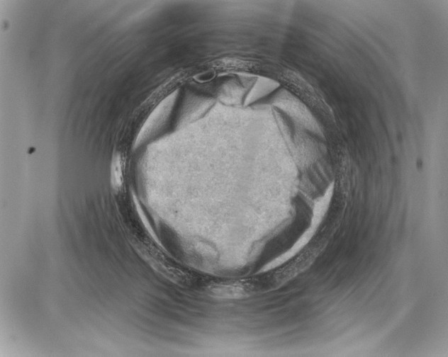 X0000085740075200704131655