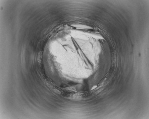 X0000085740078200704131656