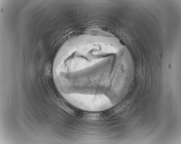 X0000085740081200704131656