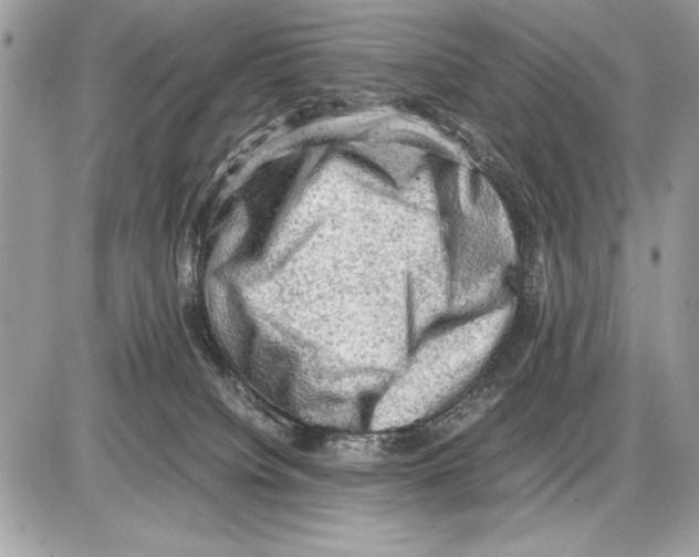 X0000085740084200704131656