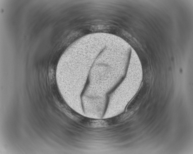 X0000085740087200704131656