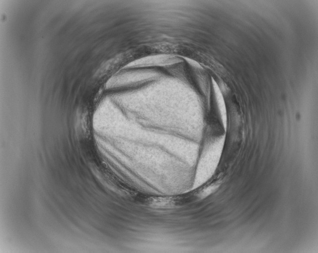 X0000085740088200704131656