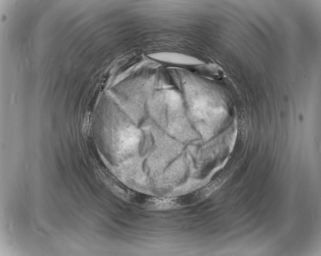 X0000085740093200704131656