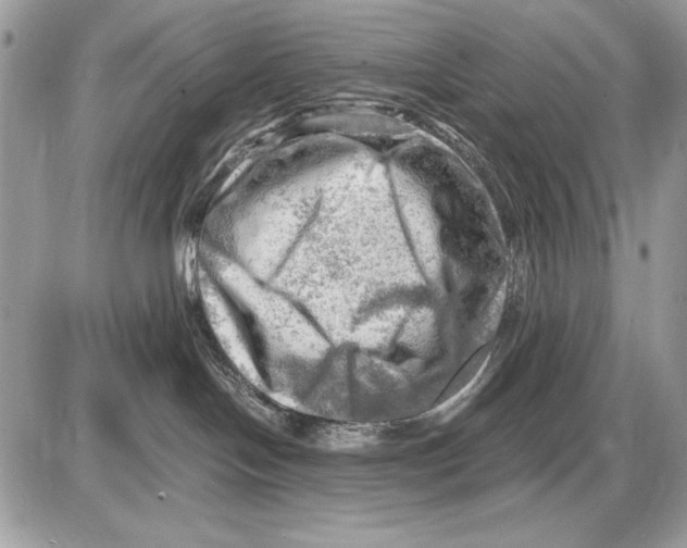 X0000085740094200704131656