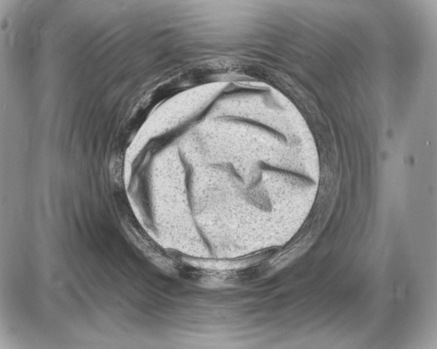 X0000085740096200704131656