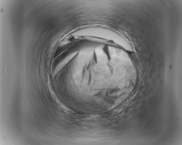 X0000085740097200704131655