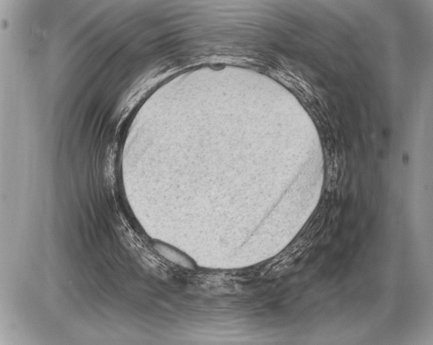 X0000085740098200704131655
