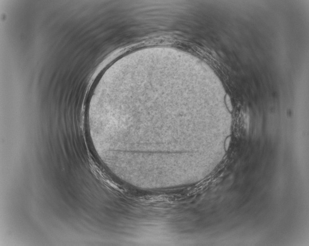 X0000085740100200704131655