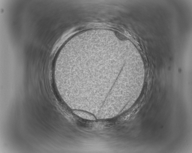 X0000085740103200704131655