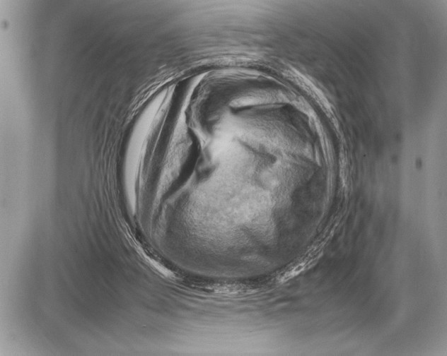 X0000085740105200704131655