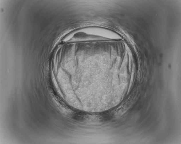 X0000085740107200704131655