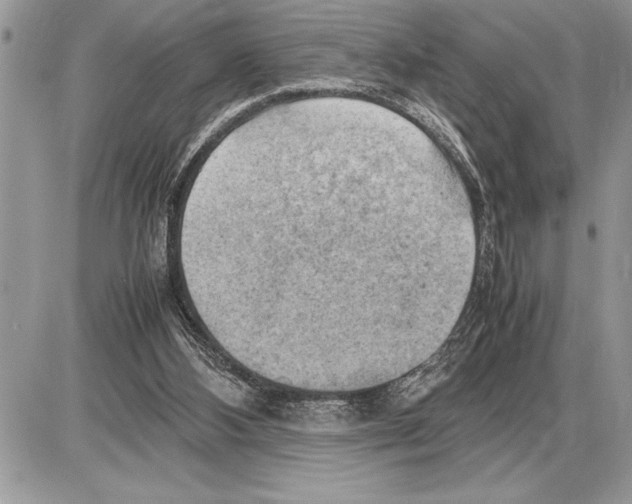 X0000085740108200704131655
