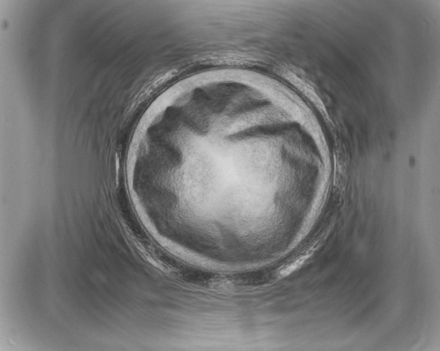 X0000085740109200704131655