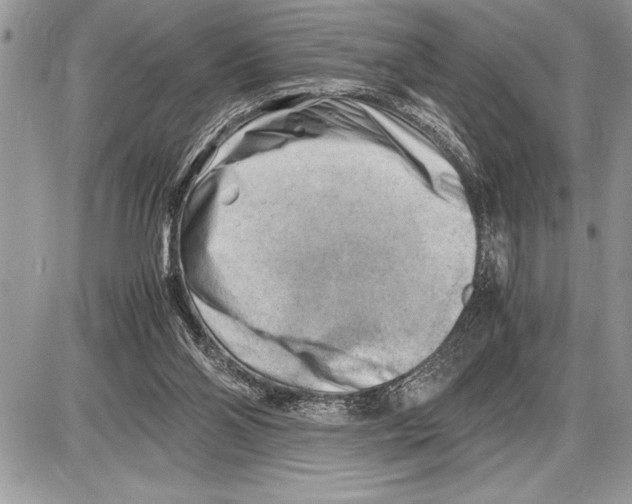 X0000085740110200704131655
