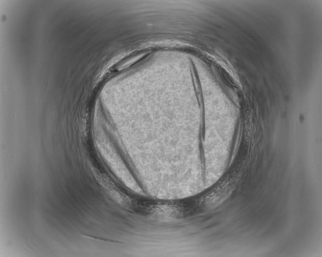 X0000085740111200704131655