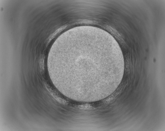 X0000085740112200704131655